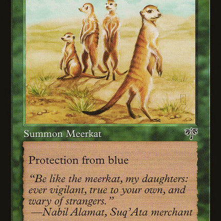 Karoo Meerkat [Mirage]