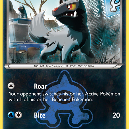 Team Aqua's Poochyena (16/34) [XY: Double Crisis]