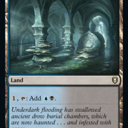 Darkwater Catacombs [Commander Legends: Battle for Baldur's Gate]