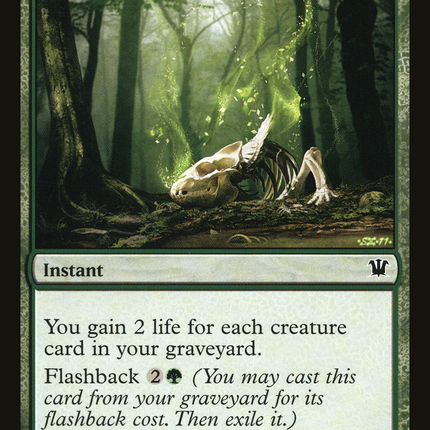 Gnaw to the Bone [The List]