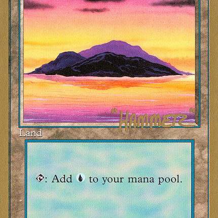 Island (shr368) (Shawn "Hammer" Regnier) [Pro Tour Collector Set]