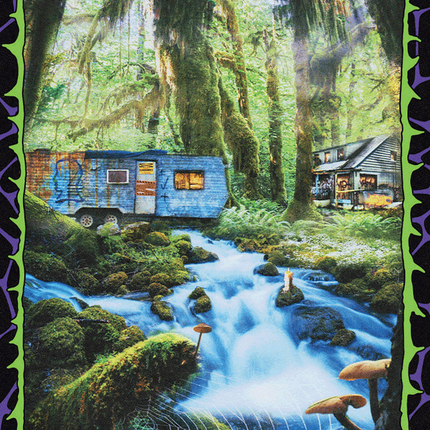 Forest (1656) [Secret Lair Drop Series]