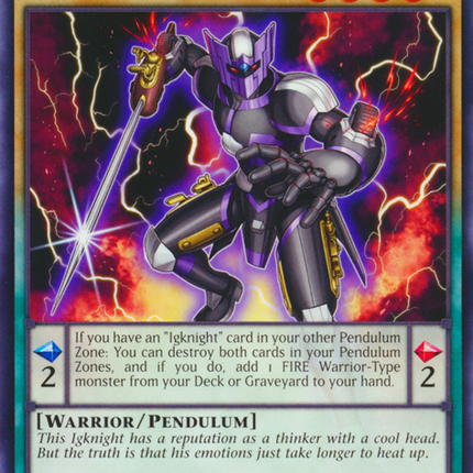Igknight Paladin [MP16-EN067] Common