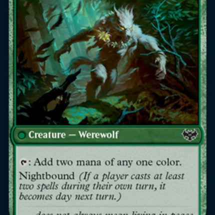 Weaver of Blossoms // Blossom-Clad Werewolf [Innistrad: Crimson Vow]