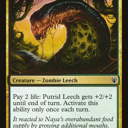 Putrid Leech [Duel Decks: Izzet vs. Golgari]