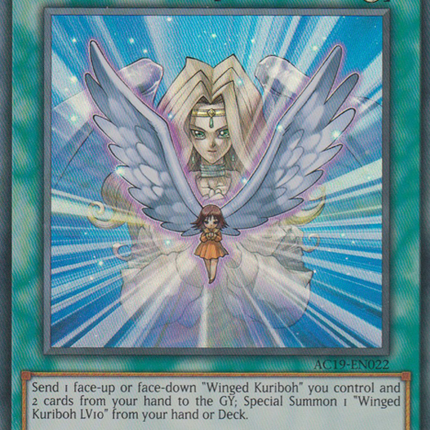 Transcendent Wings [AC19-EN022] Super Rare