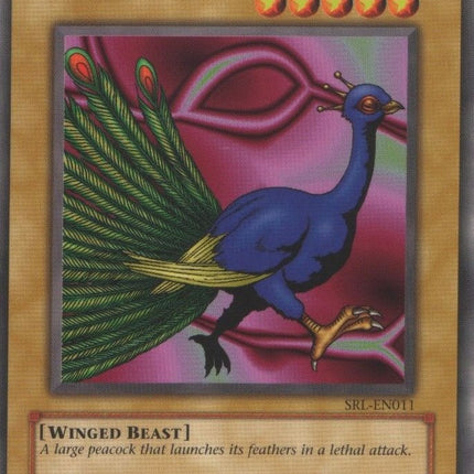 Peacock [SRL-EN011] Common