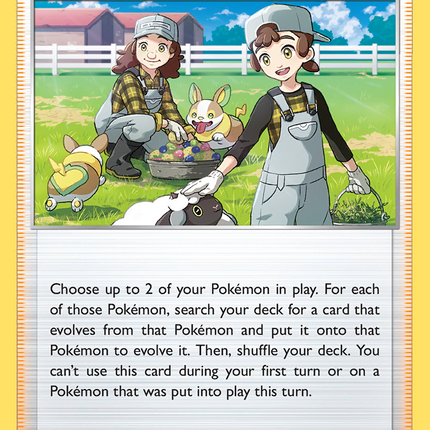 Pokemon Breeder's Nurturing (166/189) [Sword & Shield: Darkness Ablaze]