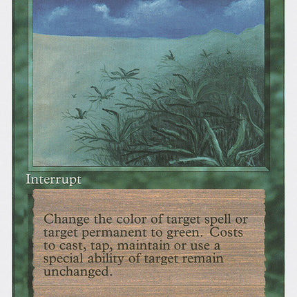 Lifelace [Fourth Edition]