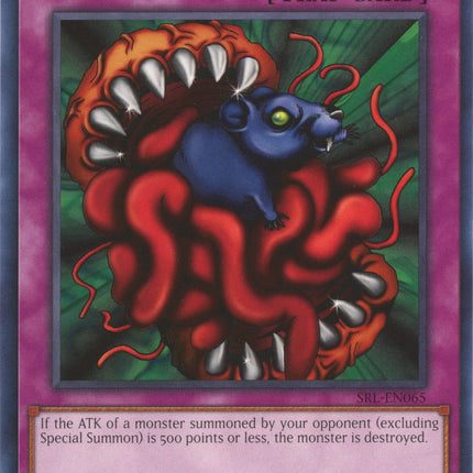 Eatgaboon (25th Anniversary) [SRL-EN065] Common