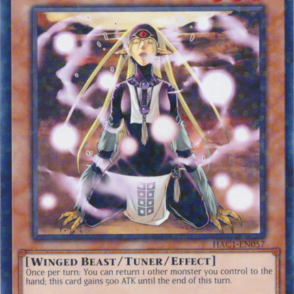 Mist Valley Shaman (Duel Terminal) [HAC1-EN057] Common