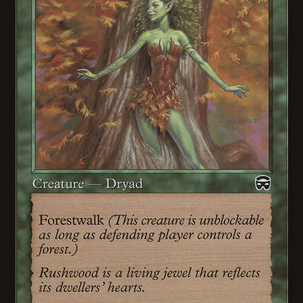 Rushwood Dryad [Mercadian Masques]