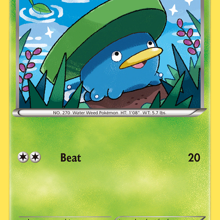 Lotad (10/160) [XY: Primal Clash]