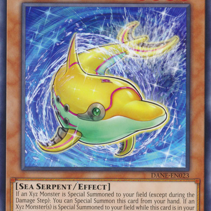 Xyz Slidolphin [DANE-EN023] Common