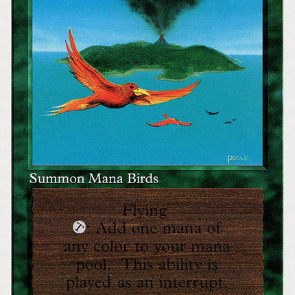 Birds of Paradise [Summer Magic / Edgar]