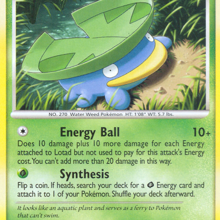 Lotad (81/127) [Platinum: Base Set]