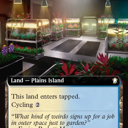 Irrigated Farmland (Extended Art) [Star Trek Commander]