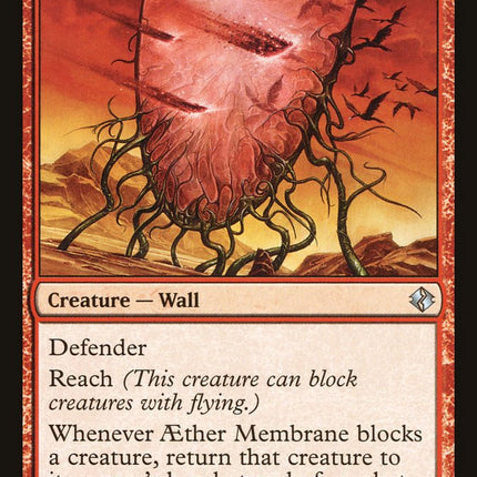 Aether Membrane [Duel Decks: Venser vs. Koth]