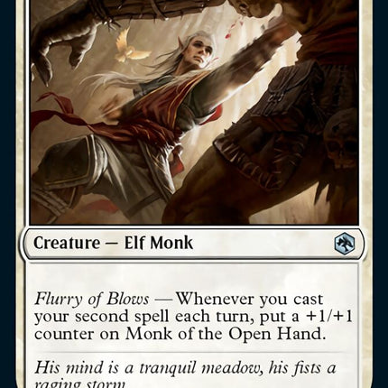 Monk of the Open Hand [Dungeons & Dragons: Adventures in the Forgotten Realms]