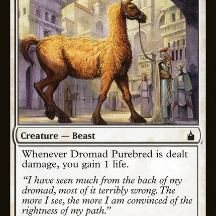 Dromad Purebred [Ravnica: City of Guilds]