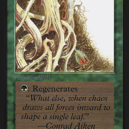 Wall of Brambles [Collectors' Edition]