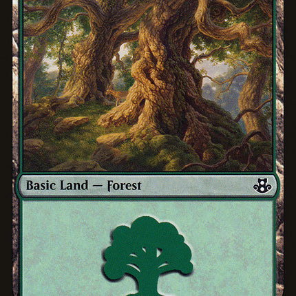 Forest (65) [Duel Decks: Elspeth vs. Kiora]