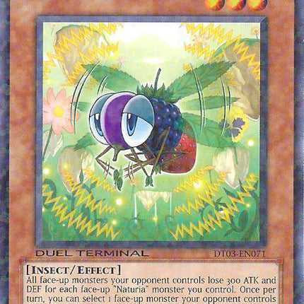 Naturia Fruitfly [DT03-EN071] Common