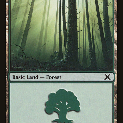 Forest (381) [Tenth Edition]