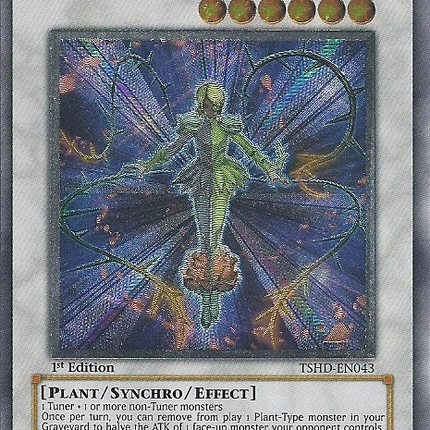 Splendid Rose [TSHD-EN043] Ultimate Rare