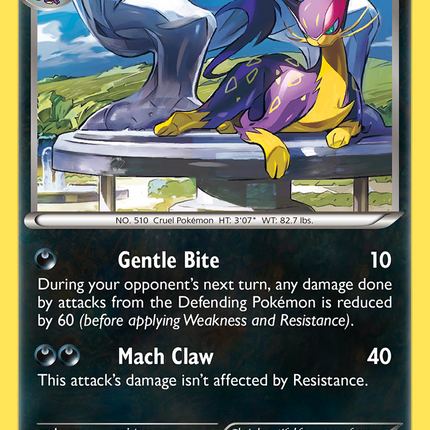 Liepard (57/119) [XY: Phantom Forces]