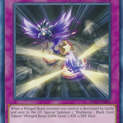 Black Wing Revenge [DLCS-EN033] Common