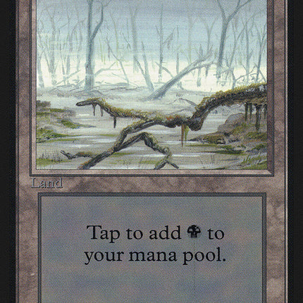 Swamp (White Fog in Trees) [Collectors' Edition]