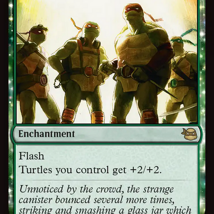 Turtle Power! [Teenage Mutant Ninja Turtles]