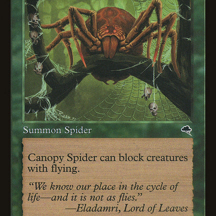 Canopy Spider [Tempest]