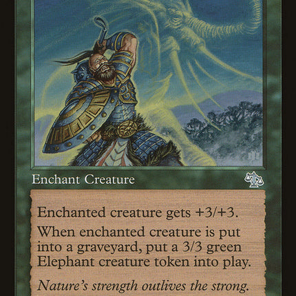 Elephant Guide [Judgment]