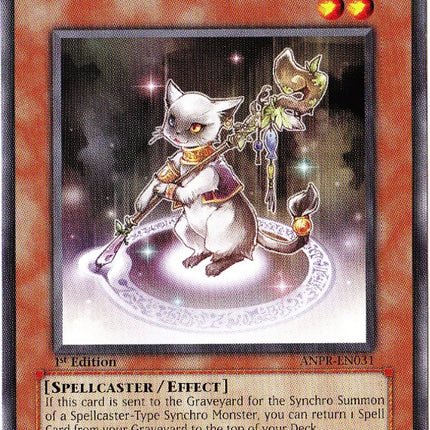 Magicat [ANPR-EN031] Rare
