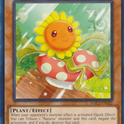 Naturia Sunflower [HAC1-EN102] Common
