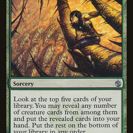 Lead the Stampede [Mirrodin Besieged]