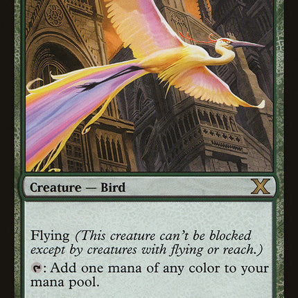 Birds of Paradise [Tenth Edition]
