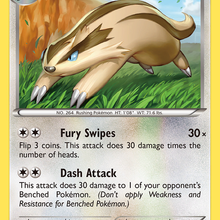 Linoone (112/160) [XY: Primal Clash]