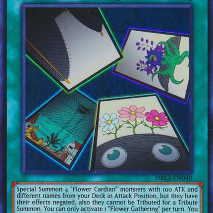 Flower Gathering [DRL3-EN040] Ultra Rare