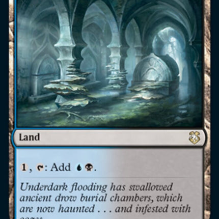 Darkwater Catacombs [Dungeons & Dragons: Adventures in the Forgotten Realms Commander]