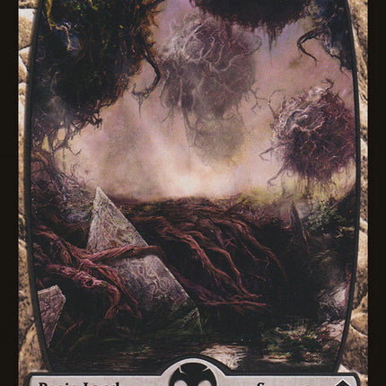 Swamp (241) [Zendikar]
