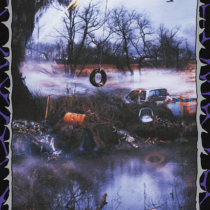 Swamp (1654) (Rainbow Foil) [Secret Lair Drop Series]