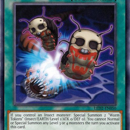 Worm Bait [LED2-EN050] Common