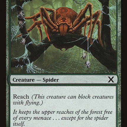Canopy Spider [Tenth Edition]
