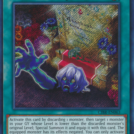 Overdone Burial [CIBR-EN063] Secret Rare