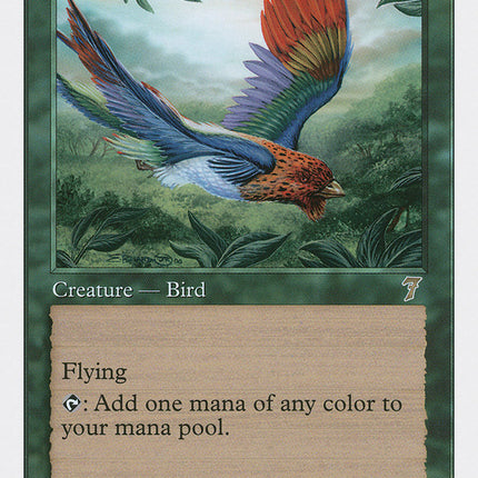 Birds of Paradise [Seventh Edition]