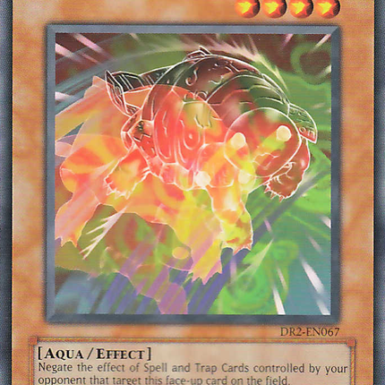 Gora Turtle of Illusion [DR2-EN067] Common