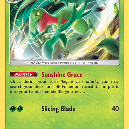 Grovyle (21/214) [Sun & Moon: Lost Thunder]